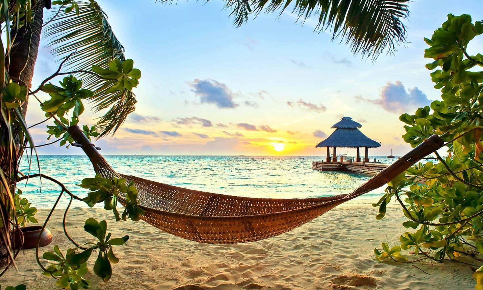 paradise-background-6uhtvwuzvis7lcob